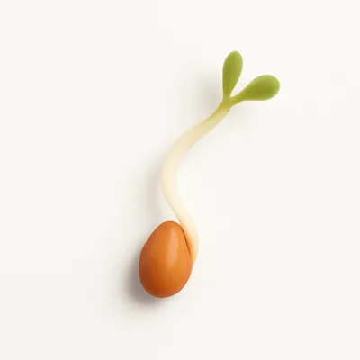 Illustration of alfalfa seeds, sprouted, raw