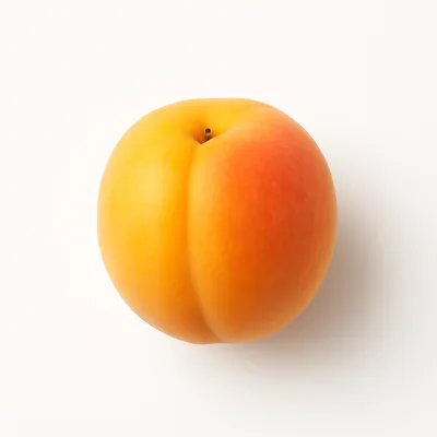 Illustration of apricots, raw