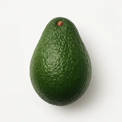 Illustration of avocados, raw, all commercial varieties