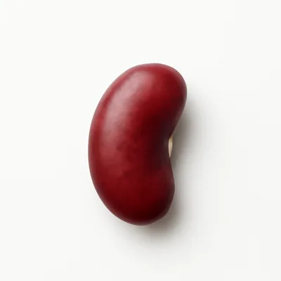 Illustration of beans, kidney, all types, mature seeds, raw
