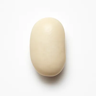 Illustration of beans, navy, mature seeds, raw