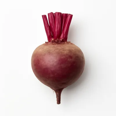 Illustration of beets, raw