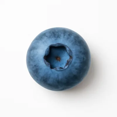 Illustration of blueberries, raw