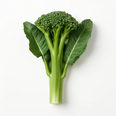 Illustration of broccoli, chinese, raw