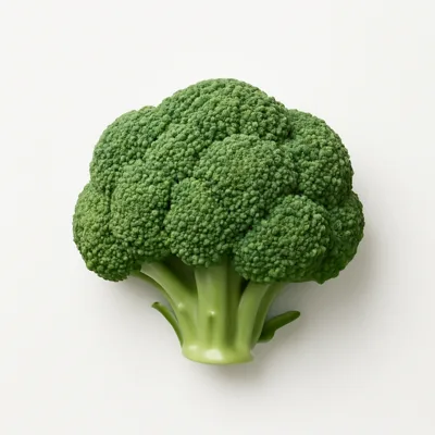 Illustration of broccoli, flower clusters, raw