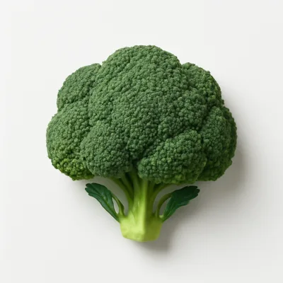 Illustration of broccoli, raw