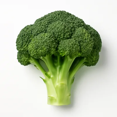 Illustration of broccoli, stalks, raw