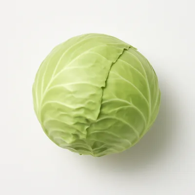 Illustration of cabbage, raw