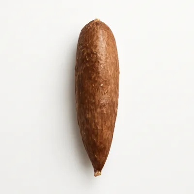 Illustration of cassava, raw