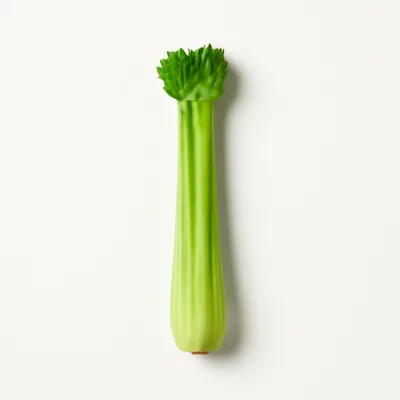 Illustration of celery, raw