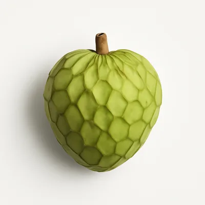 Illustration of cherimoya, raw