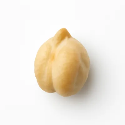 Illustration of chickpeas (garbanzo beans, bengal gram), mature seeds, canned, drained solids