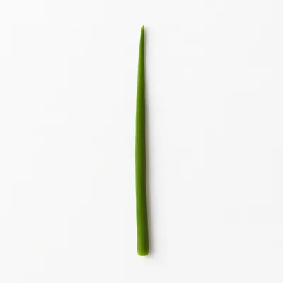 Illustration of chives, raw