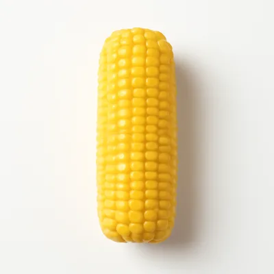 Illustration of corn, sweet, yellow, raw