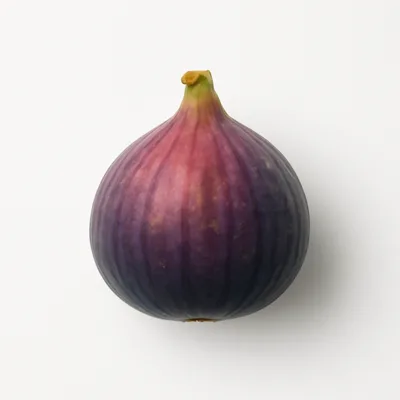 Illustration of figs, raw