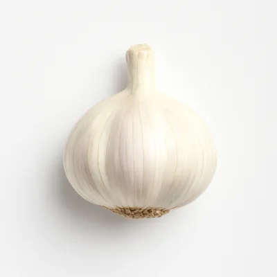 Illustration of garlic, raw