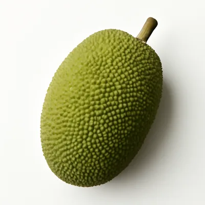 Illustration of jackfruit, raw