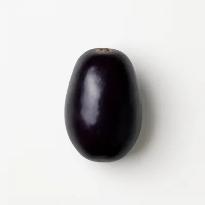 Illustration of java-plum, (jambolan), raw