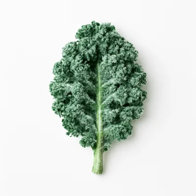 Illustration of kale, frozen, unprepared