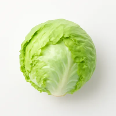 Illustration of lettuce, iceberg (includes crisphead types), raw