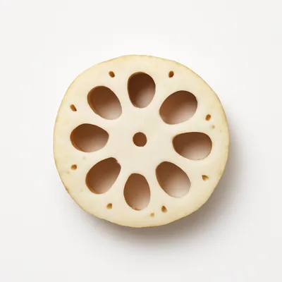 Illustration of lotus root, raw