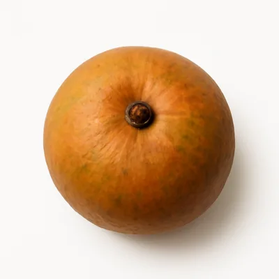 Illustration of mammy-apple, (mamey), raw