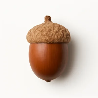 Illustration of nuts, acorns, raw