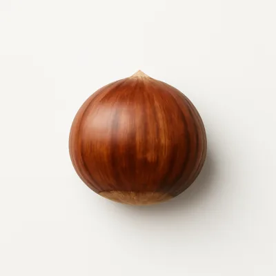 Illustration of nuts, chestnuts, european, raw, unpeeled