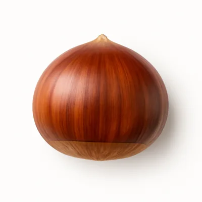 Illustration of nuts, chestnuts, japanese, raw