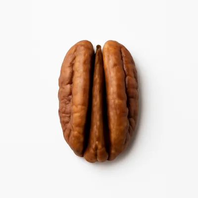 Illustration of nuts, pecans