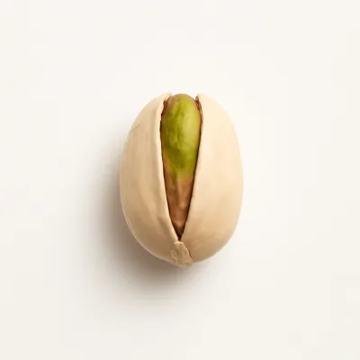 Illustration of nuts, pistachio nuts, raw