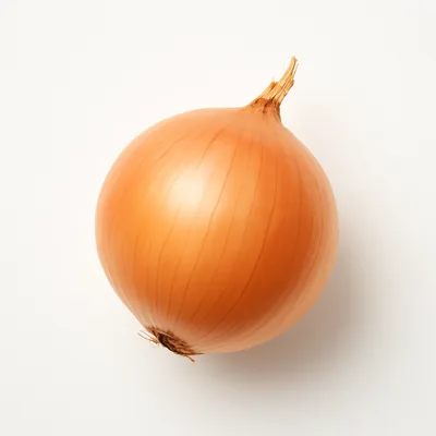 Illustration of onions, raw