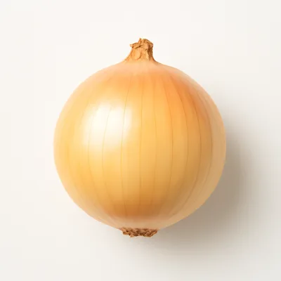 Illustration of onions, sweet, raw