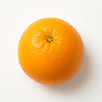 Illustration of oranges, raw, Florida