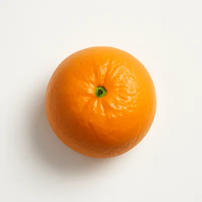 Illustration of oranges, raw, navels