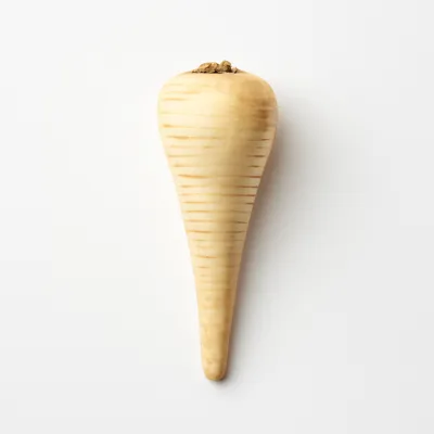 Illustration of parsnips, raw