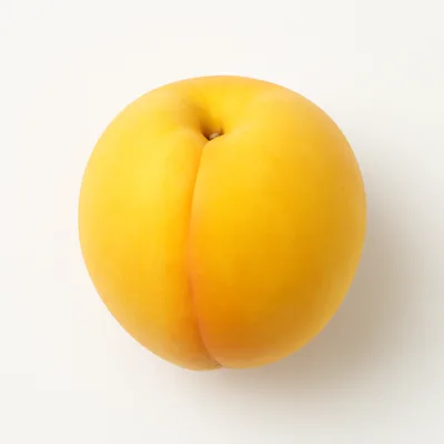 Illustration of peaches, yellow, raw