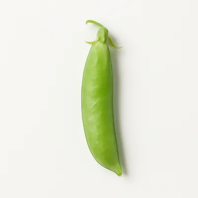 Illustration of peas, edible-podded, raw