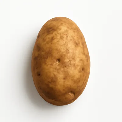 Illustration of potatoes, russet, flesh and skin, raw
