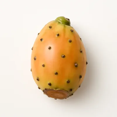 Illustration of prickly pears, raw
