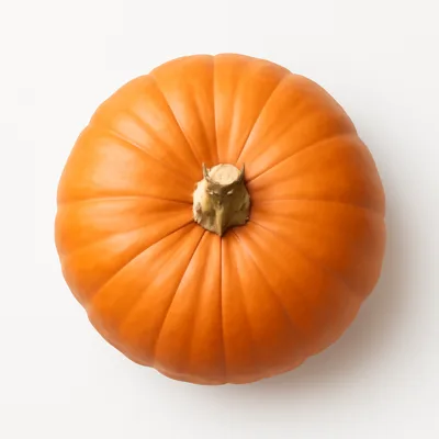 Illustration of pumpkin, raw