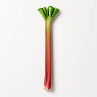 Illustration of rhubarb, raw