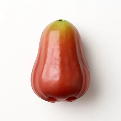 Illustration of rose-apples, raw