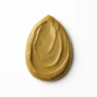 Illustration of seeds, sunflower seed butter, with salt added