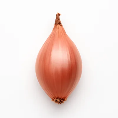 Illustration of shallots, raw