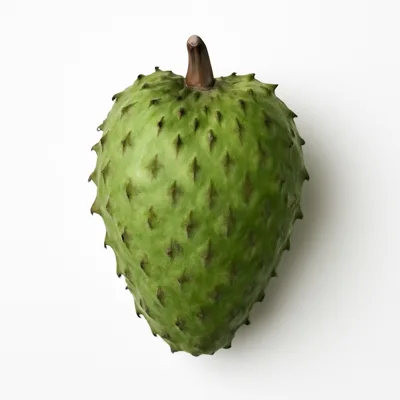 Illustration of soursop, raw