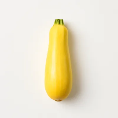 Illustration of squash, summer, all varieties, raw