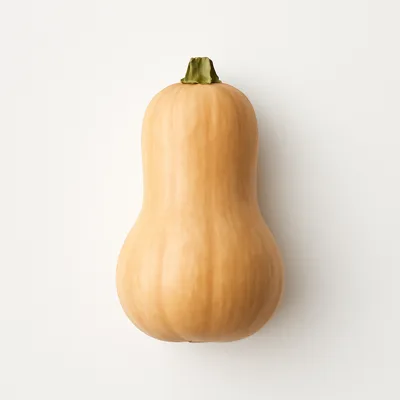 Illustration of squash, winter, butternut, raw