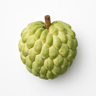Illustration of sugar-apples, (sweetsop), raw