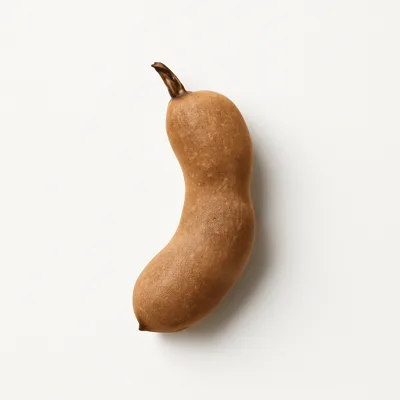 Illustration of tamarinds, raw